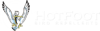 Hotfoot Store